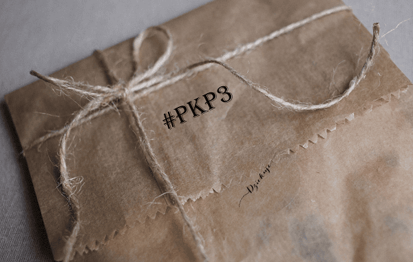Državni zbor potrdil PKP3