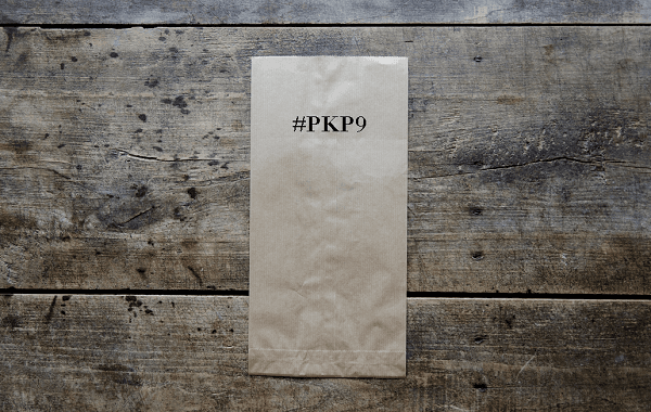 Inštitut za računovodstvo Kaj prinaša novi PKP9