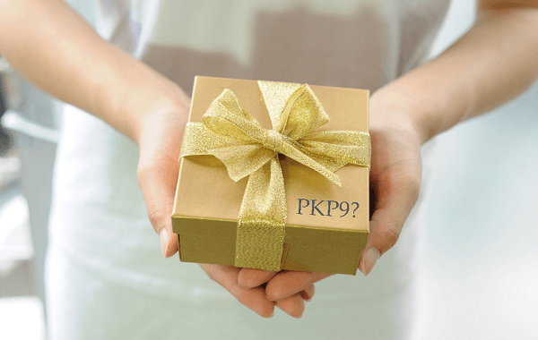 PKP9 predlogi Inštitut za računovodstvo
