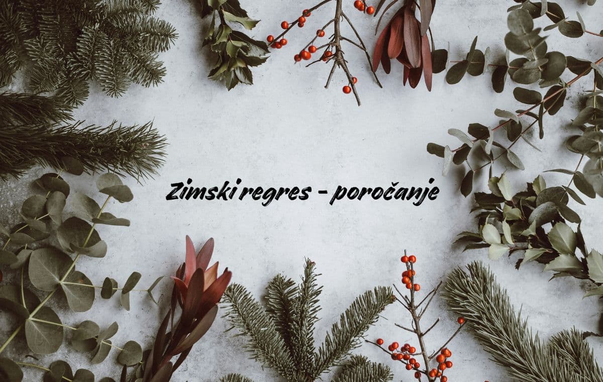 Zimski-regres-porocanje-REK